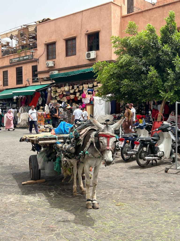 Eselkarren auf einem Platz in Marrakesch, dahinter Marktstände